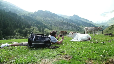 Stock Video Backpacker Taking Photos Of A Calf In The Valley Live Wallpaper For PC - Free Live Wallpaper