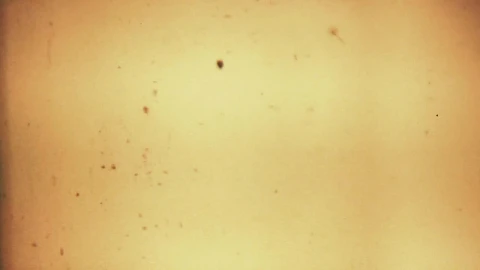 Stock Video Background Texture Of An Old Film Live Wallpaper For PC - Free Live Wallpaper