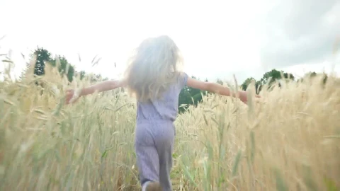 Stock Video Back View Of Girl Running Through Sunlit Field Live Wallpaper For PC - Free Live Wallpaper