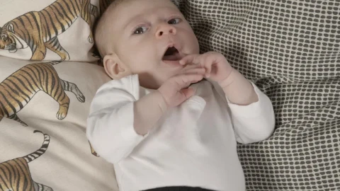 Stock Video Baby Yawning Live Wallpaper For PC - Free Live Wallpaper