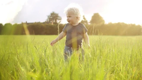 Stock Video Baby Playing In A Field Live Wallpaper For PC - Free Live Wallpaper