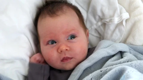 Stock Video Baby In Their Bed Live Wallpaper For PC - Free Live Wallpaper