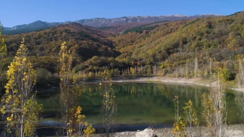 Stock Video Autumn Trees Around A Lake Live Wallpaper For PC - Free Live Wallpaper