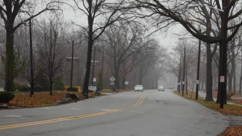 Stock Video Autumn Park Traffic Live Wallpaper For PC - Free Live Wallpaper
