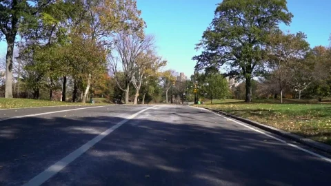 Stock Video Autumn Leaves In Central Park Live Wallpaper For PC - Free Live Wallpaper