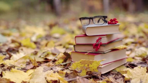Stock Video Autumn Leaves Fall On Stack Of School Books Live Wallpaper For PC - Free Live Wallpaper