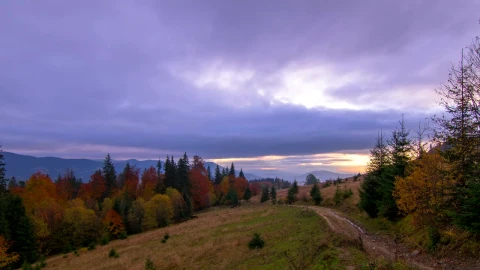 Stock Video Autumn Hills At Sunrise Live Wallpaper For PC - Free Live Wallpaper