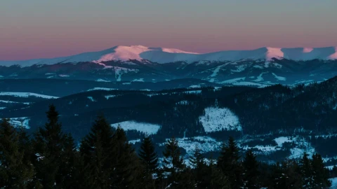Stock Video Aurora On The Skyline Of A Winter Landscape Live Wallpaper For PC - Free Live Wallpaper