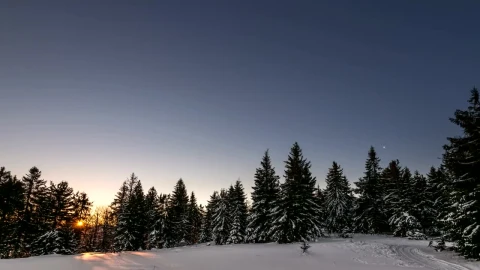 Stock Video Aurora At Dawn In A Winter Forest Live Wallpaper For PC - Free Live Wallpaper