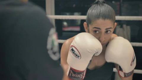 Stock Video Athletic Woman Punching Boxing Pads Live Wallpaper For PC - Free Live Wallpaper