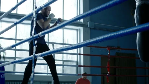 Stock Video Athlete Training Boxing On The Ring Live Wallpaper For PC - Free Live Wallpaper