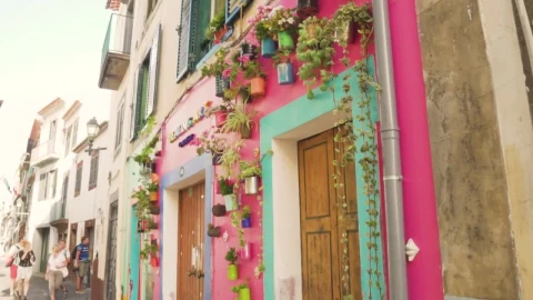 Stock Video Art Gallery With Hanging Flowerpots In The Wall Live Wallpaper For PC - Free Live Wallpaper