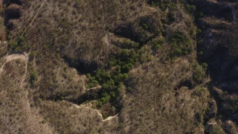 Stock Video Arid Environment With Trees From Above Live Wallpaper For PC - Free Live Wallpaper