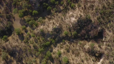 Stock Video Area In The Savanna Aerial Shot Live Wallpaper For PC - Free Live Wallpaper