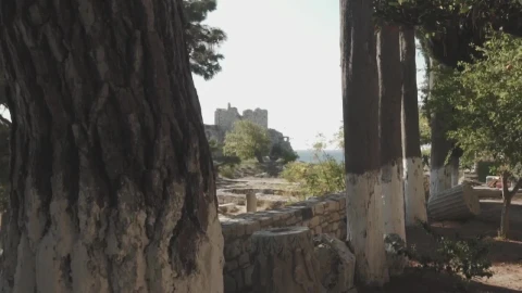 Stock Video Archaeological Area Live Wallpaper For PC - Free Live Wallpaper