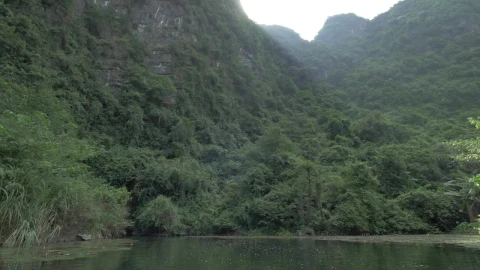 Stock Video Approaching A Mountain By River Live Wallpaper For PC - Free Live Wallpaper