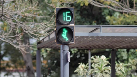 Stock Video Animated Pedestrian Traffic Light With A Reverse Timer Live Wallpaper For PC - Free Live Wallpaper