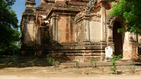 Stock Video Ancient Building In The Jungle Live Wallpaper For PC - Free Live Wallpaper