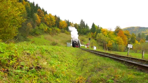Stock Video An Old Steam Train Going Out Of The Tunnel Live Wallpaper For PC - Free Live Wallpaper