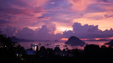 Stock Video Amazing Pink Sunset On A Tropical Landscape Live Wallpaper For PC - Free Live Wallpaper