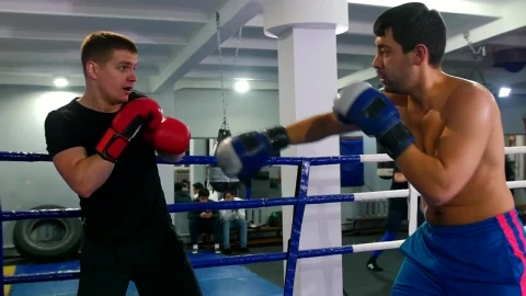 Stock Video Amateur Boxers Training In The Ring Live Wallpaper For PC - Free Live Wallpaper