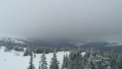 Stock Video Alps During A Harsh Winter Live Wallpaper For PC - Free Live Wallpaper