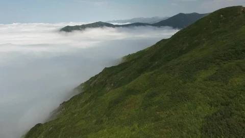 Stock Video Alpine Meadows And Clouds Live Wallpaper For PC - Free Live Wallpaper