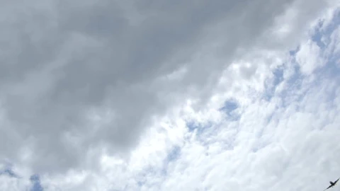 Stock Video Airplane Flying Low Live Wallpaper For PC - Free Live Wallpaper
