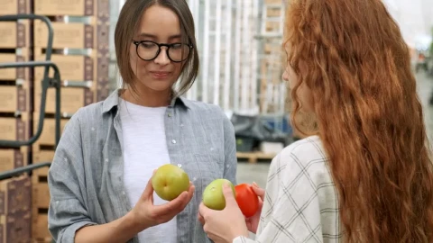 Stock Video Agronomists Reviewing The Quality Of Vegetables Live Wallpaper For PC - Free Live Wallpaper
