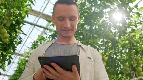 Stock Video Agronomist Working On A Tablet Live Wallpaper For PC - Free Live Wallpaper