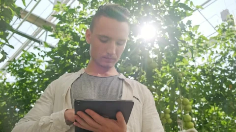 Stock Video Agronomist Using A Tablet In The Greenhouse Live Wallpaper For PC - Free Live Wallpaper