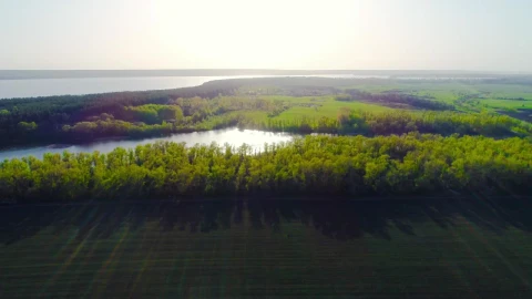 Stock Video Agricultural Fields With Green Grass Near A River Live Wallpaper For PC - Free Live Wallpaper