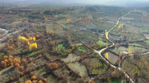 Stock Video Agricultural Fields In The Autumn Season Live Wallpaper For PC - Free Live Wallpaper