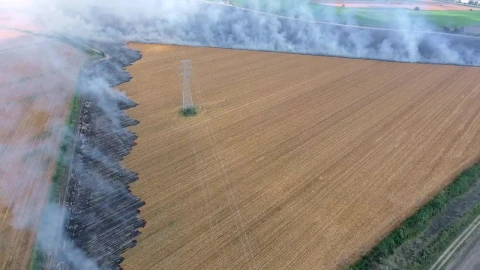Stock Video Agricultural Burning Fields Live Wallpaper For PC - Free Live Wallpaper