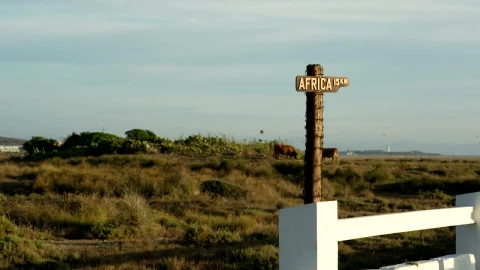 Stock Video Africa Sign Live Wallpaper For PC - Free Live Wallpaper