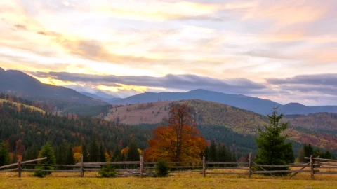 Stock Video A Wooden Fence In The Sunset Mountain Live Wallpaper For PC - Free Live Wallpaper