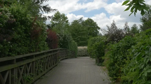 Stock Video A Wooden Bridge And The Garden Live Wallpaper For PC - Free Live Wallpaper