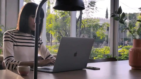 Stock Video A Woman Working On Her Laptop At An Office Live Wallpaper For PC - Free Live Wallpaper