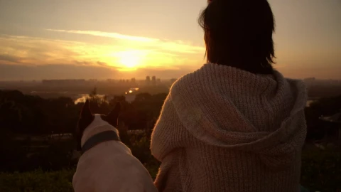 Stock Video A Woman With Her Dog Watching The Sunset Live Wallpaper For PC - Free Live Wallpaper