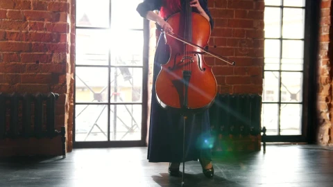 Stock Video A Woman Standing In A Room Playing The Cello Live Wallpaper For PC - Free Live Wallpaper