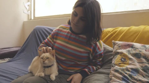 Stock Video A Woman Sits On A Couch And Pets A Cat Live Wallpaper For PC - Free Live Wallpaper