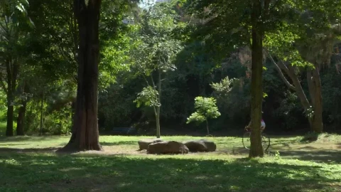 Stock Video A Woman Riding Her Bicycle At A Green Park Live Wallpaper For PC - Free Live Wallpaper
