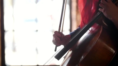 Stock Video A Woman Plays The Cello Live Wallpaper For PC - Free Live Wallpaper