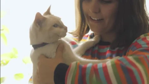 Stock Video A Woman Petting And Talking With Her Cat Live Wallpaper For PC - Free Live Wallpaper