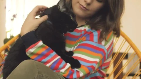 Stock Video A Woman Petting A Black Cat Live Wallpaper For PC - Free Live Wallpaper