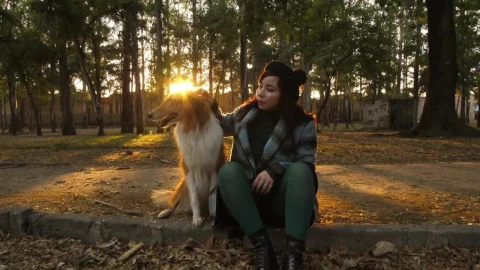 Stock Video A Woman Pets A Dog In A Park Live Wallpaper For PC - Free Live Wallpaper