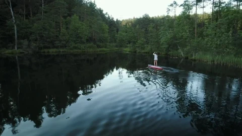Stock Video A Woman On A Paddle Board Exploring The Forest Live Wallpaper For PC - Free Live Wallpaper
