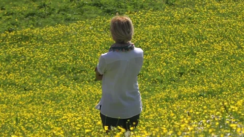 Stock Video A Woman Contemplates A Yellow Flower Field Live Wallpaper For PC - Free Live Wallpaper