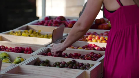 Stock Video A Woman Choosing Fruit At A Market Live Wallpaper For PC - Free Live Wallpaper