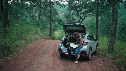 Stock Video A Traveling Couple Looks At The Map On The Way Live Wallpaper For PC - Free Live Wallpaper